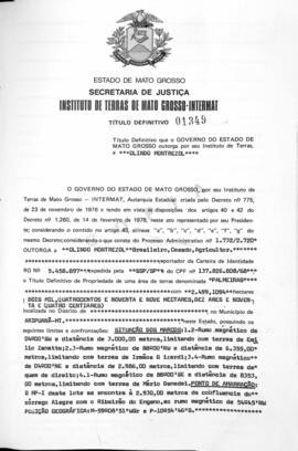NÚMERO DO TÍTULO: 01349